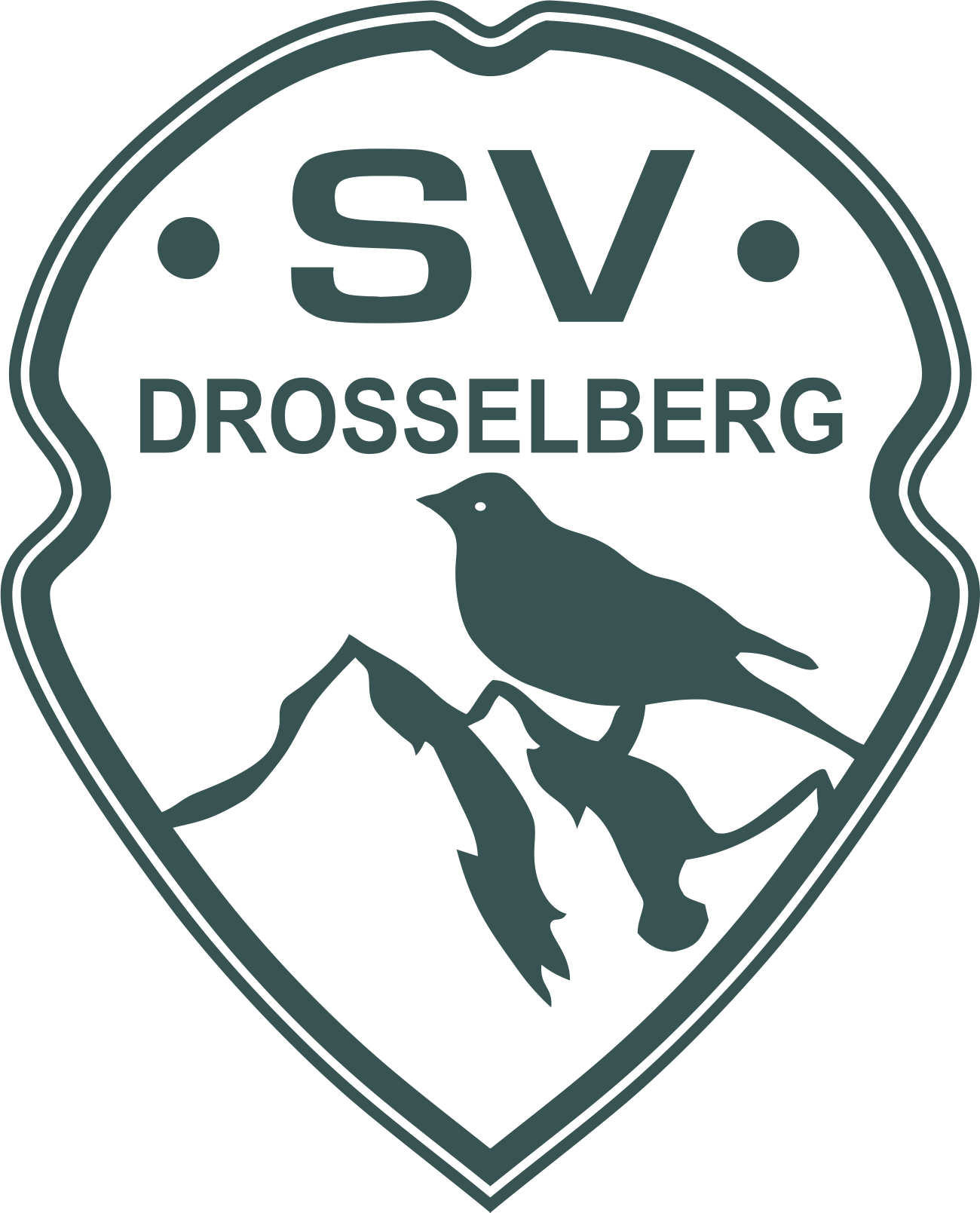 sv drosselberg